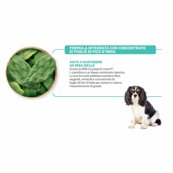 Natural Trainer Dog Specialty Nutrition Light in Fat Small&Toy Adult Tacchino -  7 kg - immagine 4