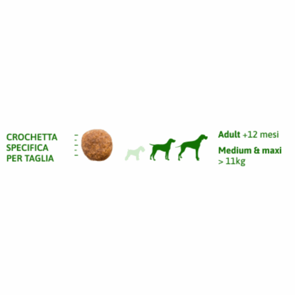Natural Trainer Dog Daily Nutrition Maxi Adult Pollo - 12 kg - immagine 6