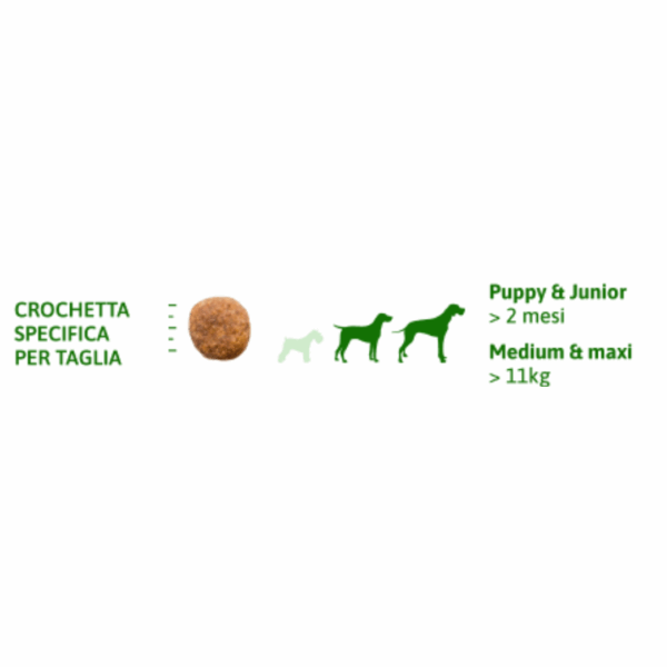 Natural Trainer Dog Daily Nutrition Medium Puppy&Junior Pollo - 12 kg - immagine 6