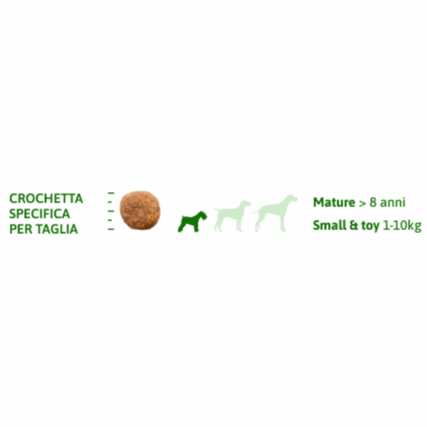 Natural Trainer Dog Specialty Nutrition Sensitive Small&Toy Mature Salmone - 2 kg - immagine 6