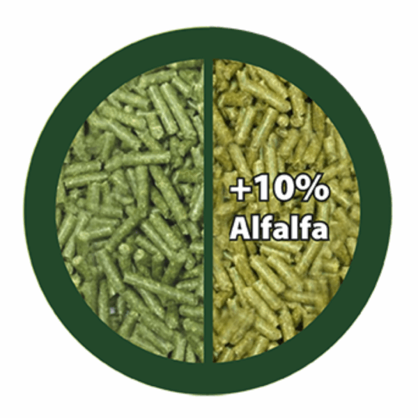 Paglianatura Fieno di Montagna Pellettato con Erba Medica - 3 kg - immagine 3