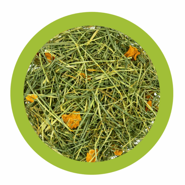 Paglianatura Fieno di Collina con Carote - 1,3 kg - immagine 2