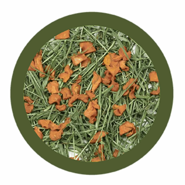 Paglianatura Fieno di Montagna Dispenser con Carota - 700 g - immagine 2