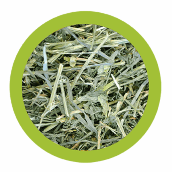Paglianatura Fieno di Montagna Dispenser con Erba Medica - 700 g - immagine 2
