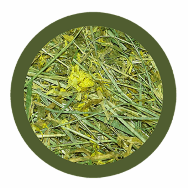 Paglianatura Fieno di Montagna Dispenser con Tarassaco - 700 g - immagine 2