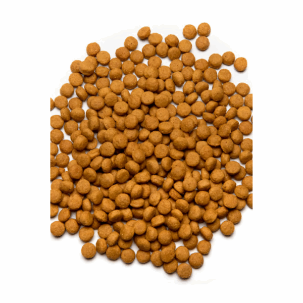 Psittacus Mantenimento Formula High Energy - 3 kg - immagine 4