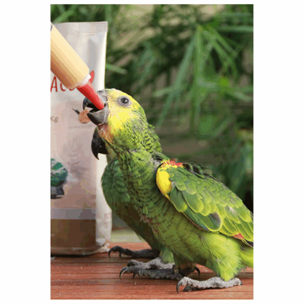 Psittacus Pappa Hand Feeding High Protein - 1 kg - immagine 5