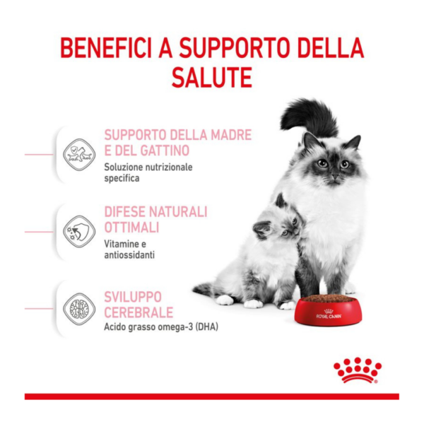 Royal Canin Cat Mother&Babycat - 400 g - immagine 4