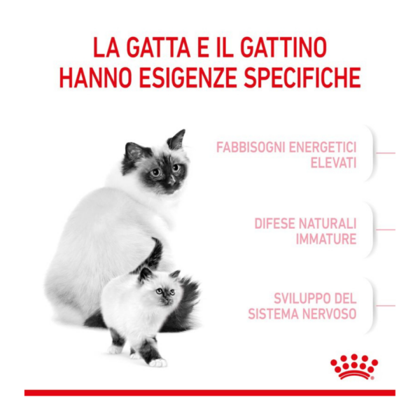 Royal Canin Cat Mother&Babycat - 400 g - immagine 3
