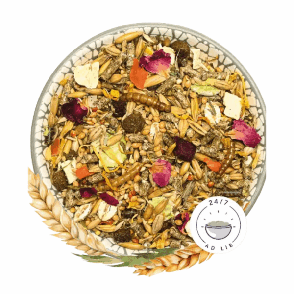 Bunny Sogno per Criceti Nani Basic - 400 g - immagine 2