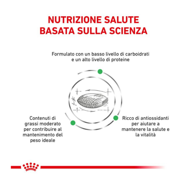 Royal Canin Cat Veterinary Diet Diabetic -1,5 kg - immagine 2