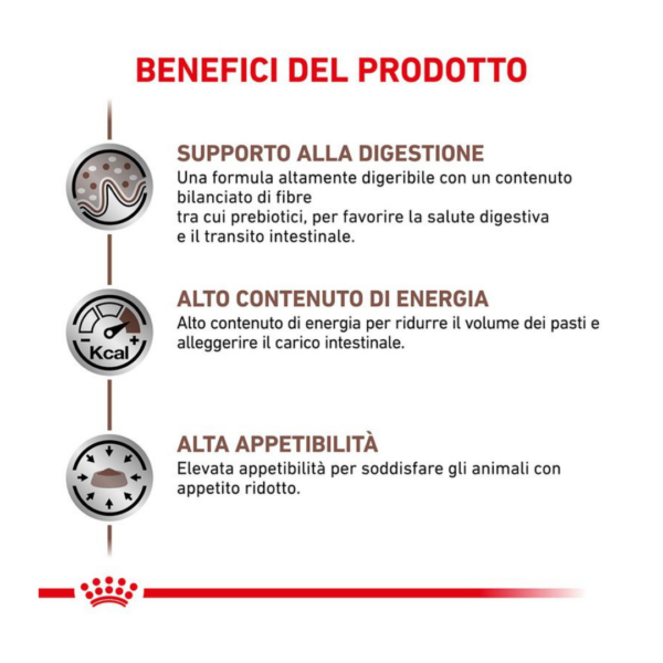Royal Canin Cat Veterinary Diet Gastrointestinal Multipack - 12x85 g - immagine 4