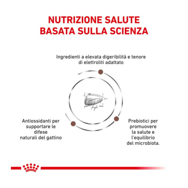 Royal Canin Cat Veterinary Diet Gastrointestinal Kitten - 400 g - immagine 3