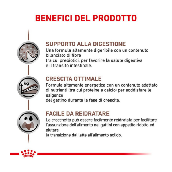 Royal Canin Cat Veterinary Diet Gastrointestinal Kitten - 400 g - immagine 4