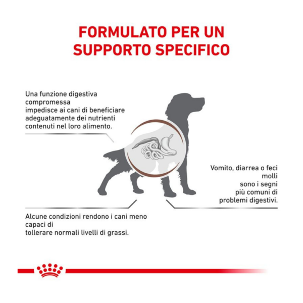 Royal Canin Dog Veterinary Diet Gastrointestinal Low Fat - 1,5 kg - immagine 4