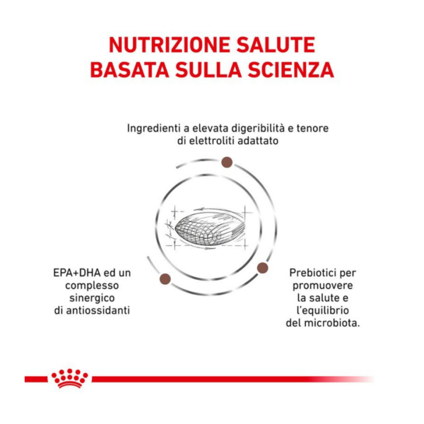 Royal Canin Dog Veterinary Diet Gastrointestinal Low Fat - 1,5 kg - immagine 2
