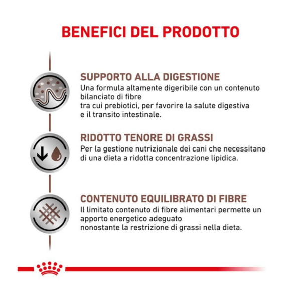 Royal Canin Dog Veterinary Diet Gastrointestinal Low Fat - 1,5 kg - immagine 3
