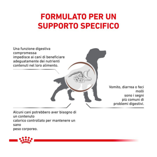 Royal Canin Dog Veterinary Diet Gastrointestinal Moderate Calorie - 2 kg - immagine 4