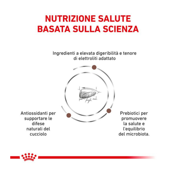 Royal Canin Dog Veterinary Diet Gastrointestinal Puppy - 2,5 kg - immagine 2