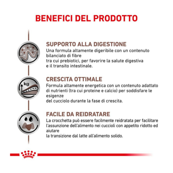 Royal Canin Dog Veterinary Diet Gastrointestinal Puppy - 2,5 kg - immagine 4