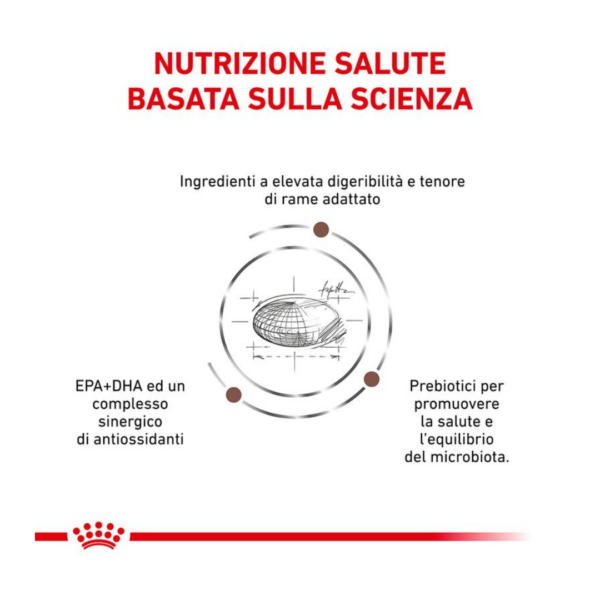 Royal Canin Cat Veterinary Diet Hepatic - 2 kg - immagine 3