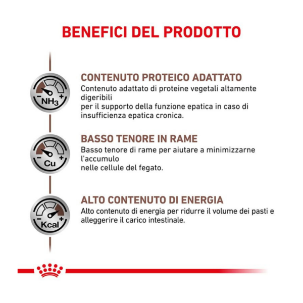 Royal Canin Dog Veterinary Diet Hepatic - 1,5 kg - immagine 3