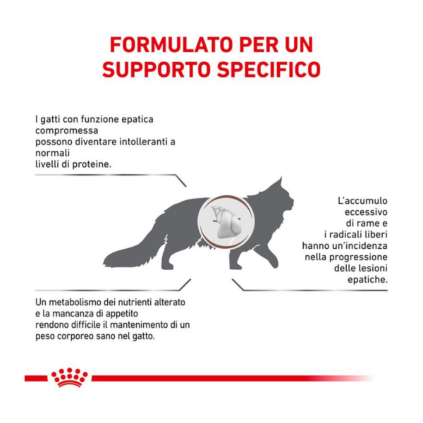 Royal Canin Cat Veterinary Diet Hepatic - 2 kg - immagine 2