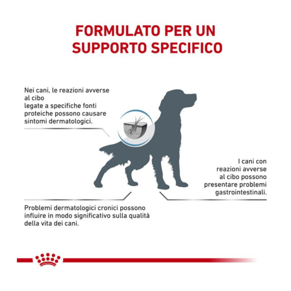 Royal Canin Dog Veterinary Diet Hypoallergenic - 2 kg - immagine 4