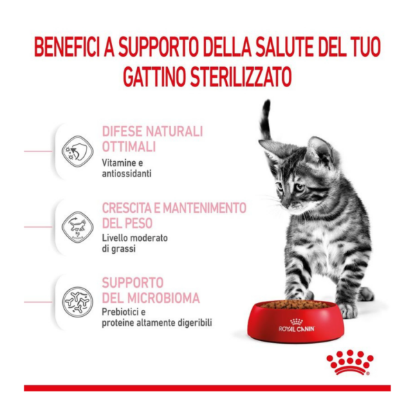 Royal Canin Cat Kitten Sterilised - 2 kg - immagine 4