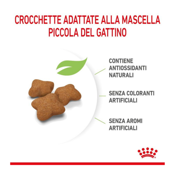 Royal Canin Cat Kitten Sterilised - 2 kg - immagine 5