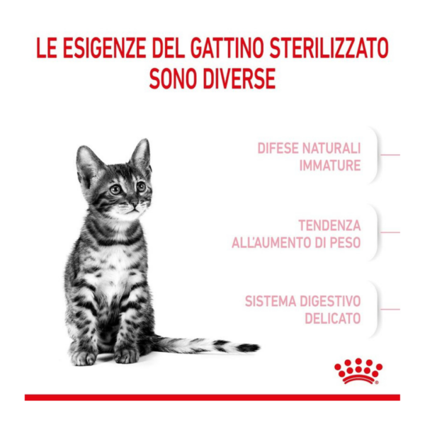 Royal Canin Cat Kitten Sterilised - 2 kg - immagine 3