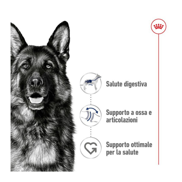 Royal Canin Dog Maxi Adult - 10X140 g - immagine 4