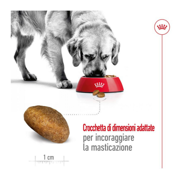 Royal Canin Dog Maxi Adult - 4 kg - immagine 5