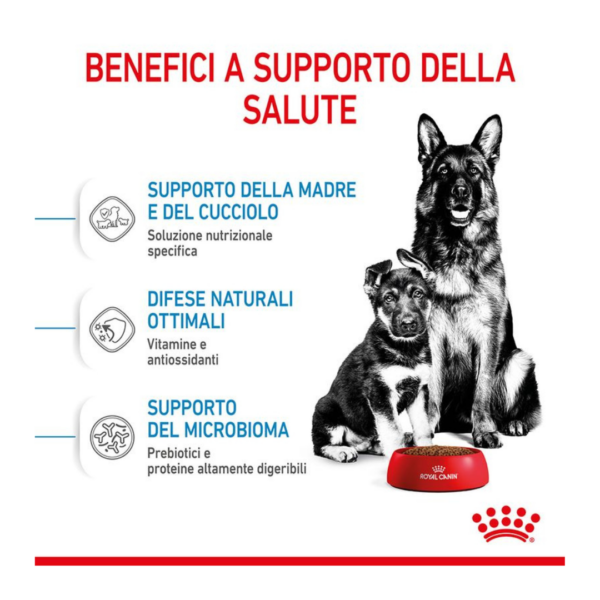 Royal Canin Dog Starter Mother&Babydog Maxi - 4 kg - immagine 5