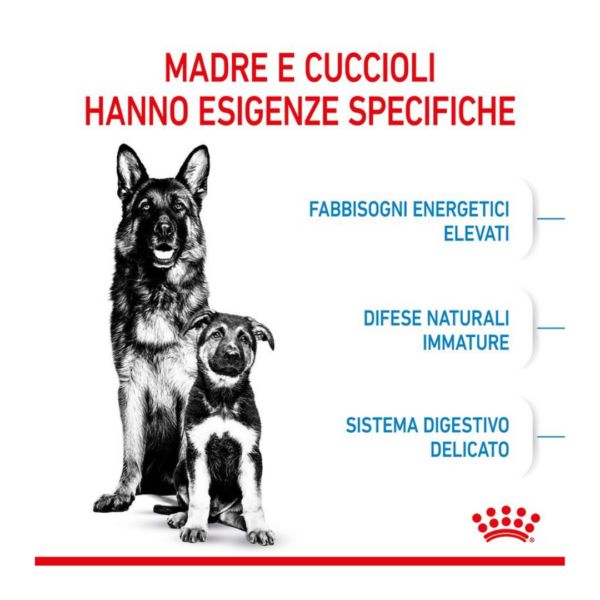 Royal Canin Dog Starter Mother&Babydog Maxi - 4 kg - immagine 4