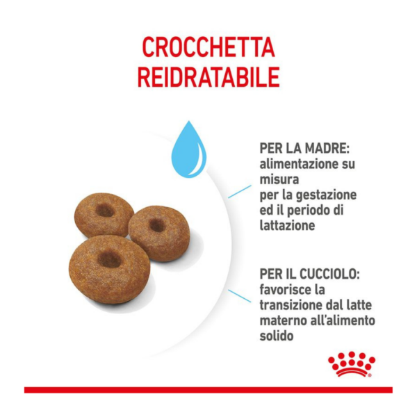 Royal Canin Dog Starter Mother&Babydog Maxi - 4 kg - immagine 3