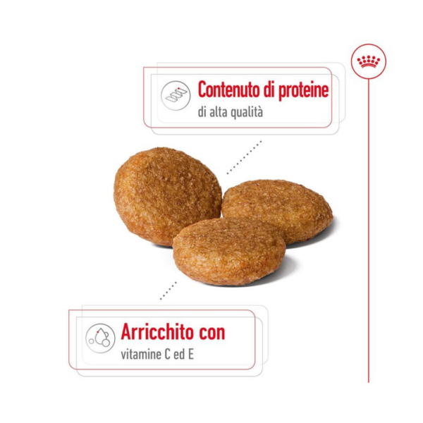 Royal Canin Dog Medium Adult - 4 kg - immagine 4