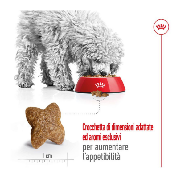 Royal Canin Dog Mini Adult - 4 kg - immagine 5
