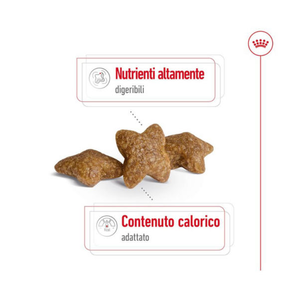Royal Canin Dog Mini Adult - 4 kg - immagine 4