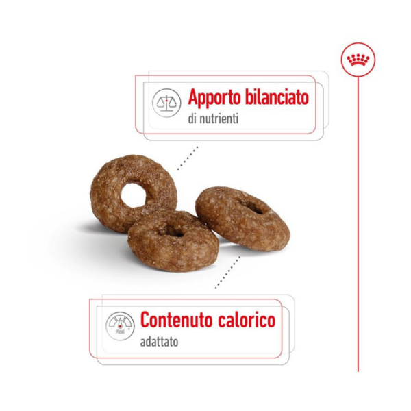 Royal Canin Dog Mini Ageing 12+ - 1,5 kg - immagine 4