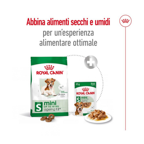 Royal Canin Dog Mini Ageing 12+ - 1,5 kg - immagine 2