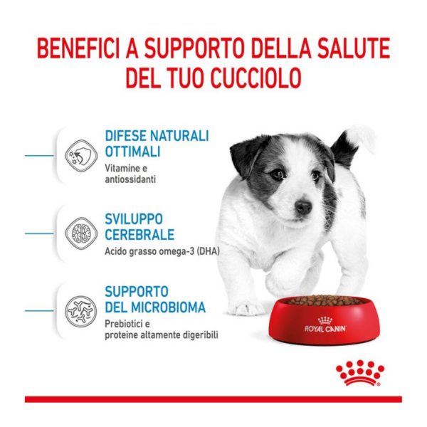 Royal Canin Dog Puppy Mini - 2 kg - immagine 5