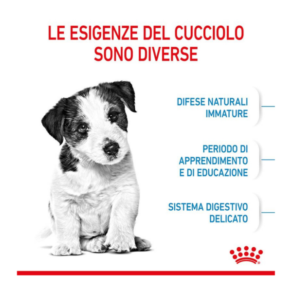 Royal Canin Dog Puppy Mini - 2 kg - immagine 4
