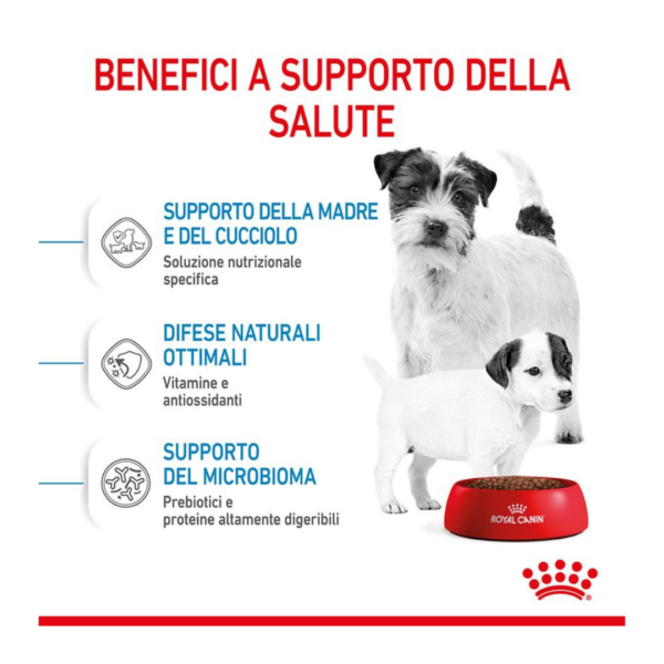 Royal Canin Dog Starter Mother/Babydog Mini - 1 kg - immagine 5