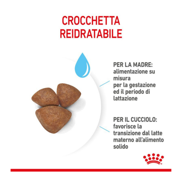 Royal Canin Dog Starter Mother/Babydog Mini - 1 kg - immagine 3