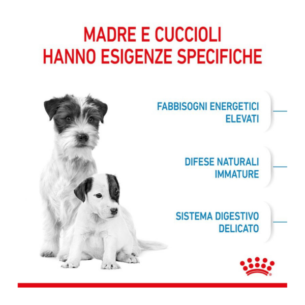 Royal Canin Dog Starter Mother/Babydog Mini - 1 kg - immagine 4