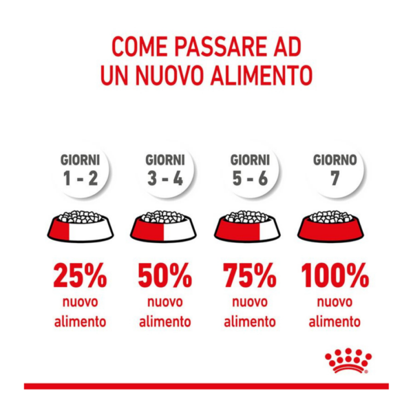 Royal Canin Dog X-Small Ageing 12+ - 1,5 kg - immagine 6