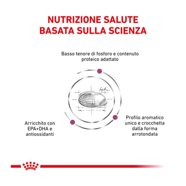 Royal Canin Cat Veterinary Diet Renal - 400 g - immagine 3