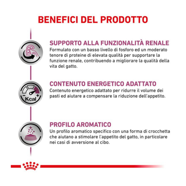 Royal Canin Cat Veterinary Diet Renal - 400 g - immagine 4