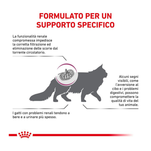 Royal Canin Cat Veterinary Diet Renal - 400 g - immagine 2